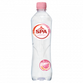 Spa Sparkling spring water grapefruit small