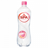 Spa Sparkling spring water grapefruit large