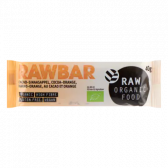 Raw Organic Food Raw reep cocoa and orange