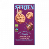 Van Strien Biologische fleur de sel chocolade mopjes