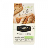 Niamh Vital oats all in bread mix