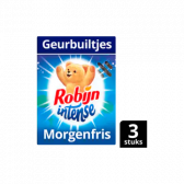 Robijn Intense morgenfris geurbuiltjes