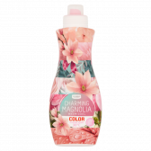 Jumbo Charming magnolia laudnry detergent color