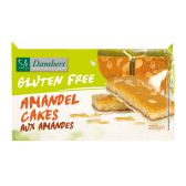 Damhert Glutenvrij Gebakjes Amandel (200 g)