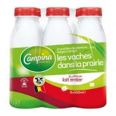 Campina Whole milk 6-pack