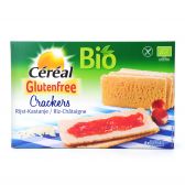 Cereal Gluten free organic chestnut crackers