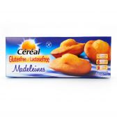 Cereal Gluten free madeleine cookies