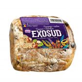 Exosud Rozijnenbrood (voor uw eigen risico, geen restitutie mogelijk)