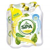 Spa Lemon and cactus 6-pack