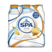 Spa Reine subtiel sinaasappel en kardemom 6-pack