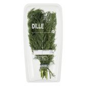 Albert Heijn Dill (at your own risk, no refunds applicable)