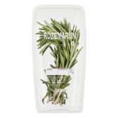 Albert Heijn Rosemary (at your own risk, no refunds applicable)