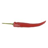 Albert Heijn Red pepper (at your own risk, no refunds applicable)