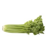 Albert Heijn Bleekselderij (voor uw eigen risico, geen restitutie mogelijk)