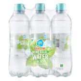 Albert Heijn Munt bruisend mineraalwater 6-pack