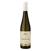 Albert Heijn Excellent Kamptal Gruner Veltliner white wine