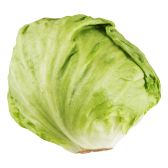 Albert Heijn Iceberg lettuce (at your own risk, no refunds applicable)