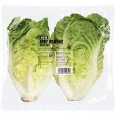 Albert Heijn Lettuce baby romaine (at your own risk, no refunds applicable)