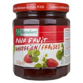 Damhert Nutrition Aardbeien fruitbeleg