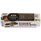 Raw Organic Food Cocoa bites with cashew