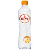 Spa Sparkling spring water peach small