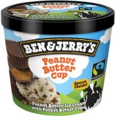Ben & Jerry's Peanut butter ice cream mini cup (only available within Europe)