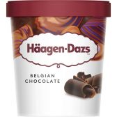Haagen-Dazs Chocolate from Belgium ice cream (only available within Europe)
