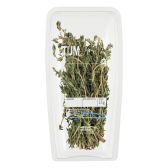 Albert Heijn Thyme (at your own risk, no refunds applicable)