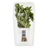 Albert Heijn Mint (at your own risk, no refunds applicable)