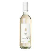 Albert Heijn Organic Pinot Grigio white wine