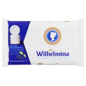 Fortuin Wilhelmina peppermint roll