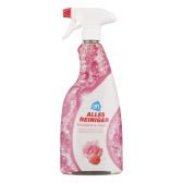 Albert Heijn All purpose cleaner spray flowers and fruit