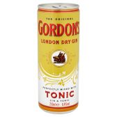 Gordon's Gin en tonic