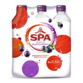 Spa Zwarte bes 6-pack