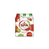 Spa Touch of watermelon kiwi 6-pack