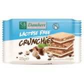 Damhert Nutrition Lactosevrije crunchies