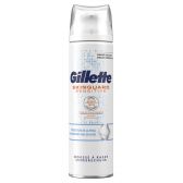 Gillette Skinguard shaving foam (only available within Europe)