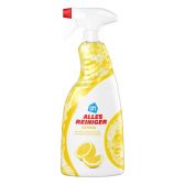 Albert Heijn All purpose spray