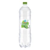 Albert Heijn Mint sparkling mineral water large