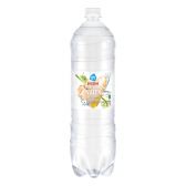 Albert Heijn Ginger and lemongrass sparkling water large