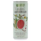 De Kuyper Fizzy watermelon