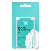Albert Heijn Blister plaster mix