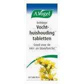 A. Vogel Solidago tabs