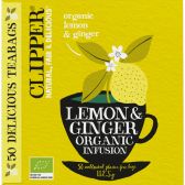 Clipper Biologische citroen en gember thee XL