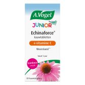 A. Vogel Echinaforce junior with vitamine C chewing tabs