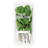 Albert Heijn Thai basil (at your own risk, no refunds applicable)