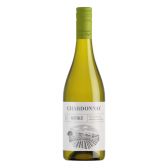 Albert Heijn Chardonnay witte wijn