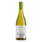 Albert Heijn Chardonnay white wine