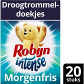 Robijn Morgenfris droogtrommeldoekjes