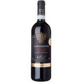 Albert Heijn Excellent Valpolicella Ripasso red whine